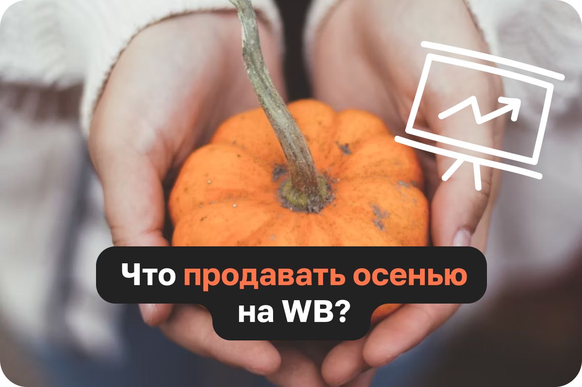 Топ-продукты для продажи на Вайлдберриз осенью: исследование рынка и потребительского спроса